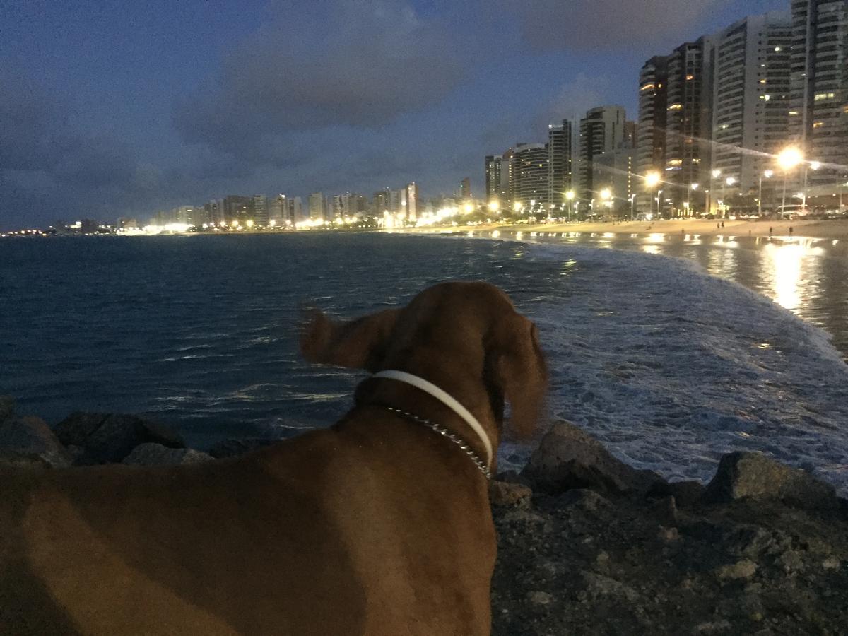 Apartamento Na Melhor Localizacao De Fortaleza!! Экстерьер фото